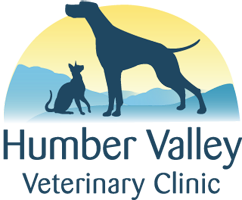 Humber Valley Vet Logo, Corner Brook