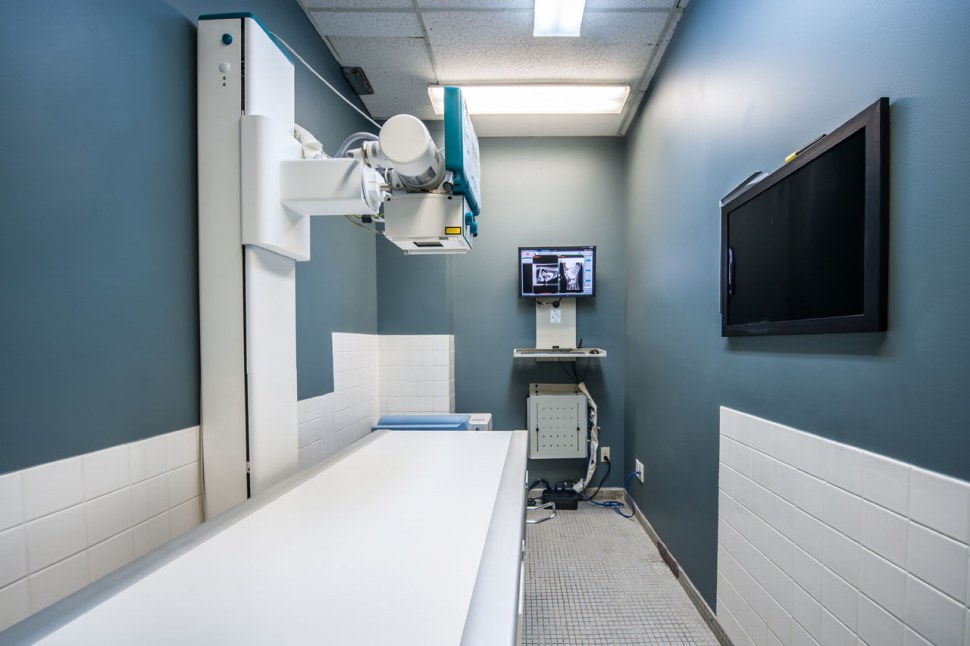 Radiology Room at Humber Valley Vet, Corner Brook, NL