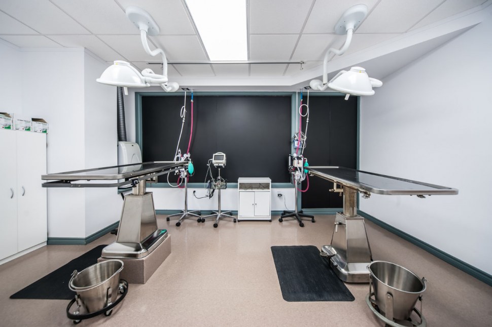 Surgery Suite, Humber Valley Corner Brook, NL