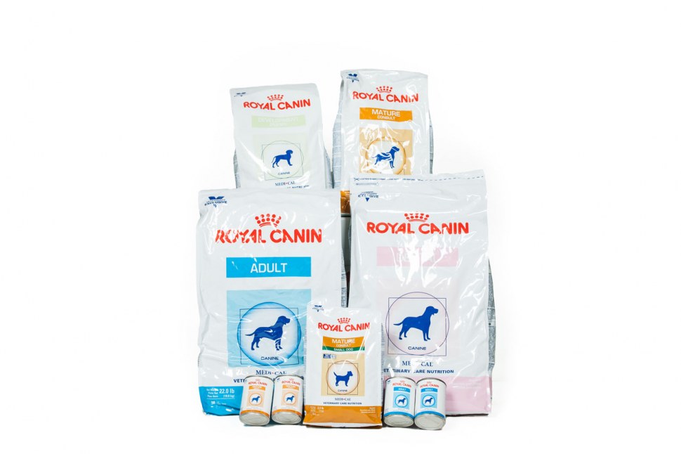 Royal Canin Dog Food at Humber Valley Vet