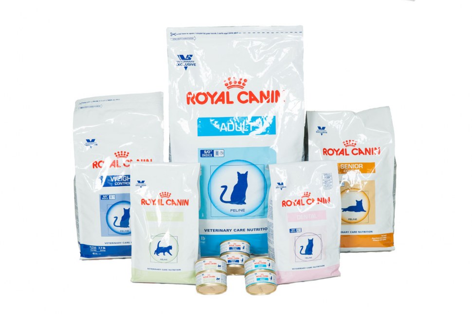 Royal Canin Cat Food at Humber Valley Vet